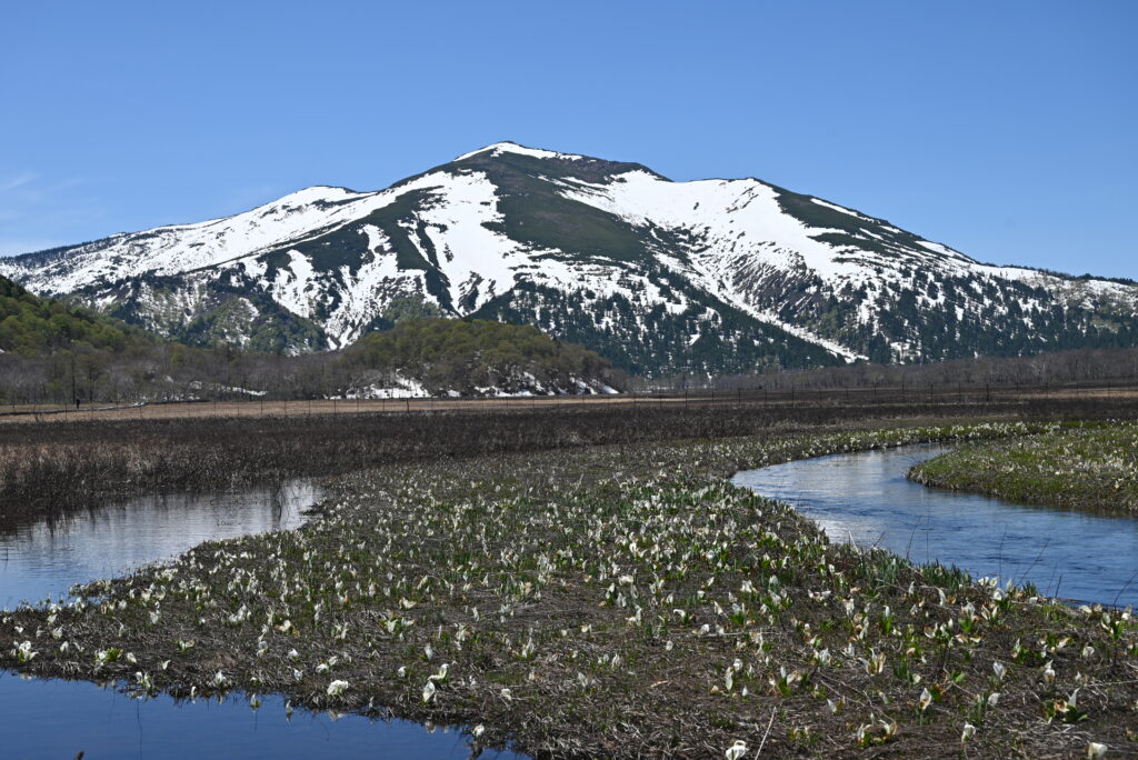 この写真は登山時のものではなく、毎年5月下旬に水芭蕉目当てに尾瀬に行きますが、その時に撮ったものです。5月下旬は山開き前で雪が多く、私は登ることができません。