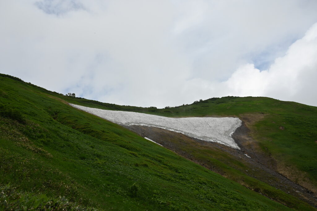 越後駒ケ岳山頂付近の雪渓
