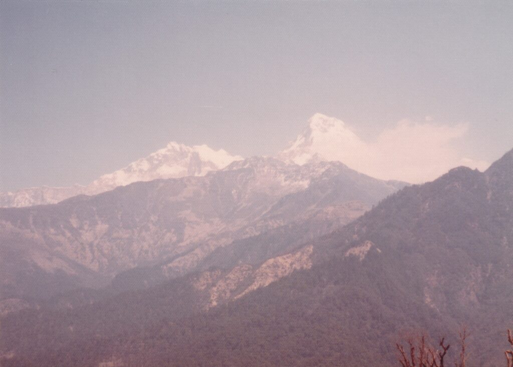 ゴレパニから見えるアンナプルナサウス（右、7219m）とアンナプルナⅠ峰（左、8091m）