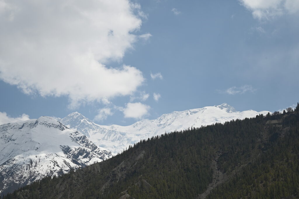 ピサンーマナン間から見えるアンナプルナⅡ峰（左）とⅣ峰（右）